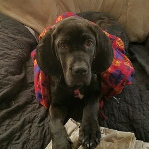 Meet your Posher, Sheryl